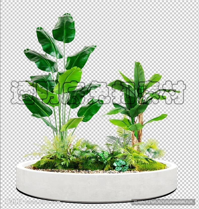 植物造景