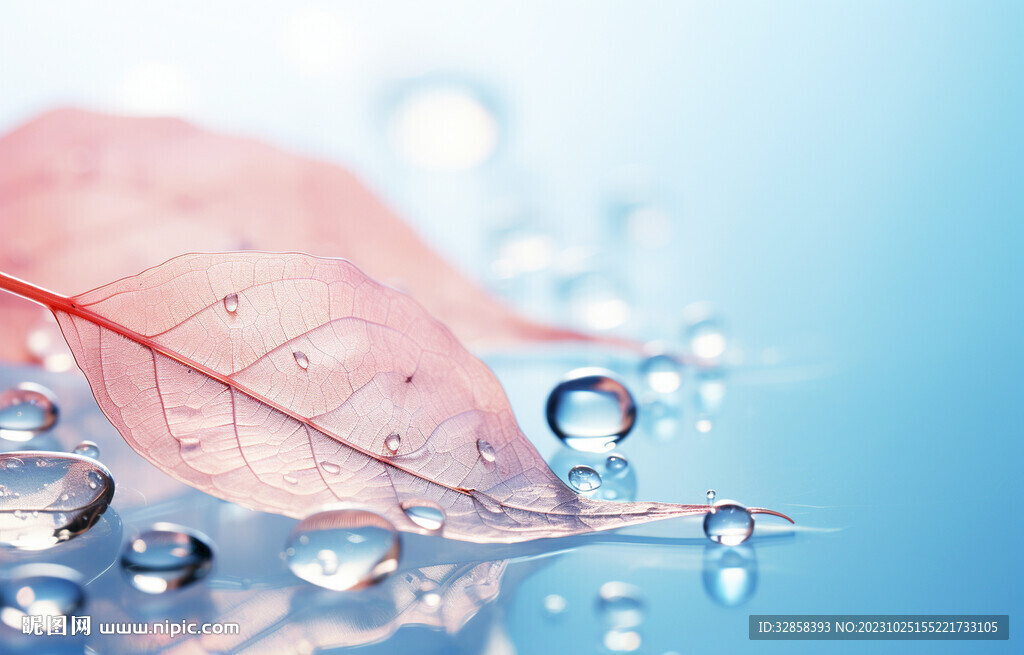 粉色樹(shù)葉水珠背景