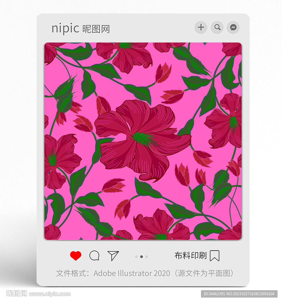 花朵花卉 
