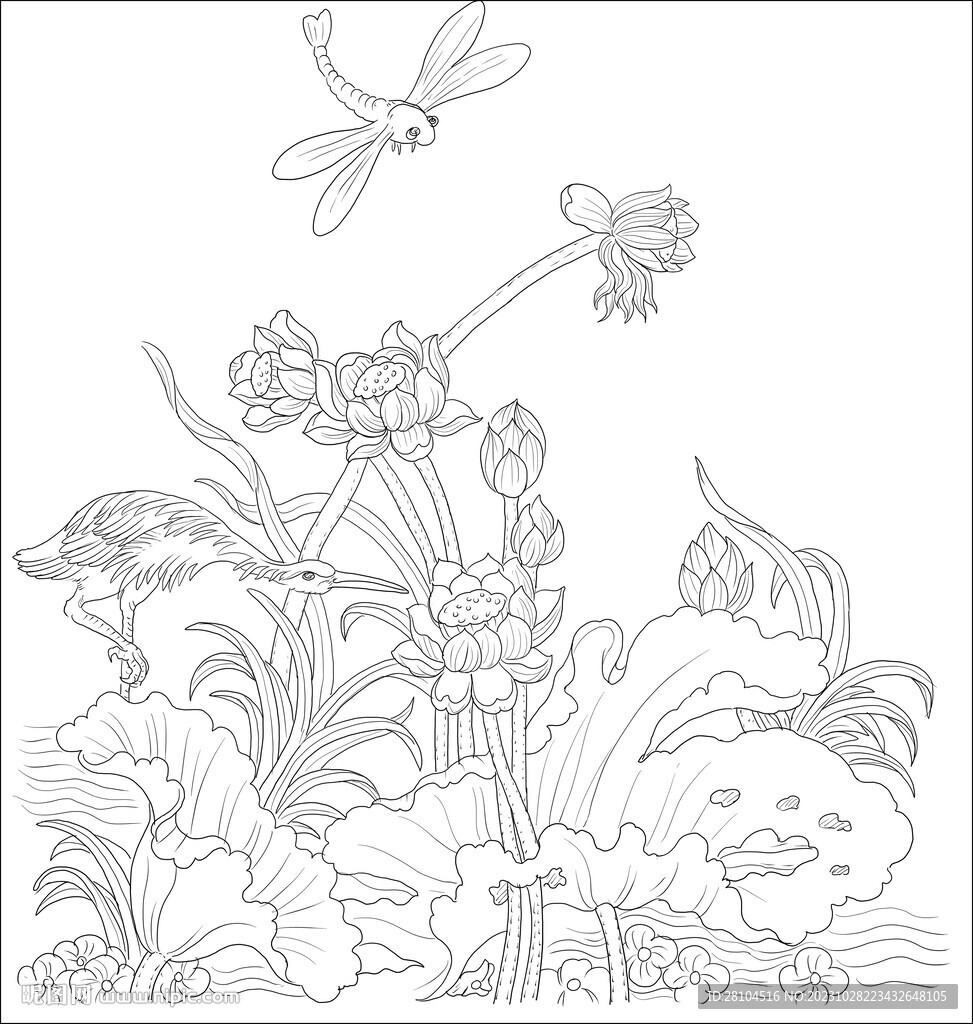 白描荷花 