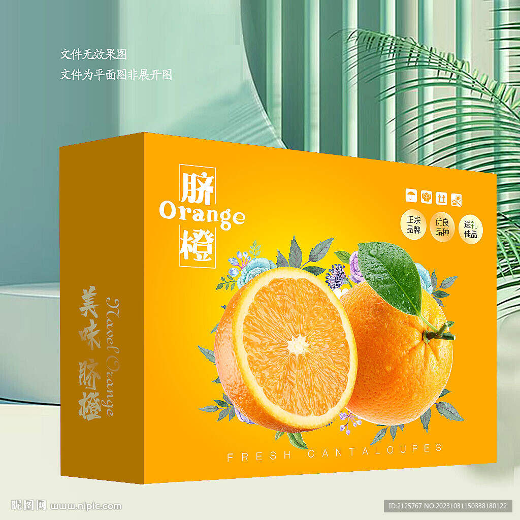 橙子禮盒  橘子包裝 