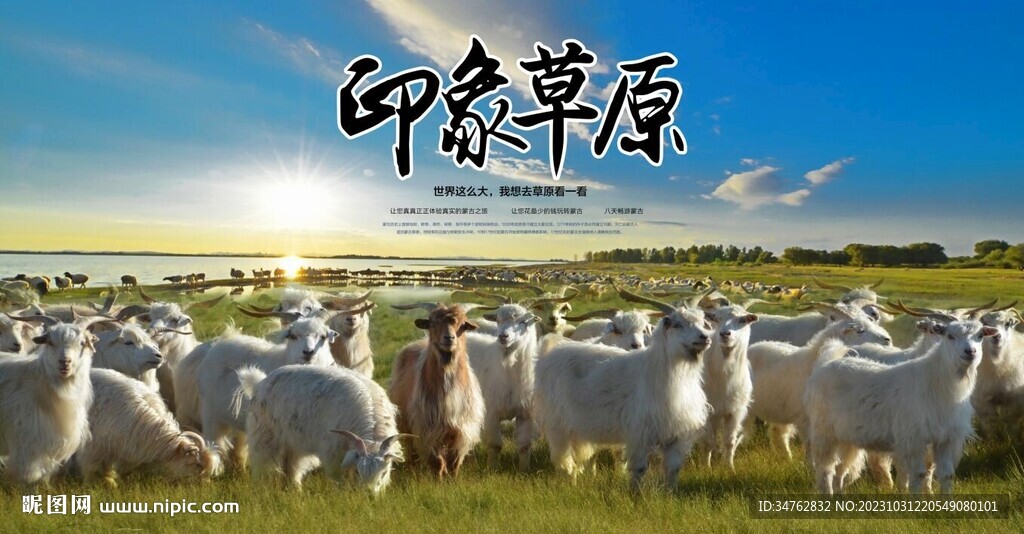 藍(lán)天白云大草原羊群背景