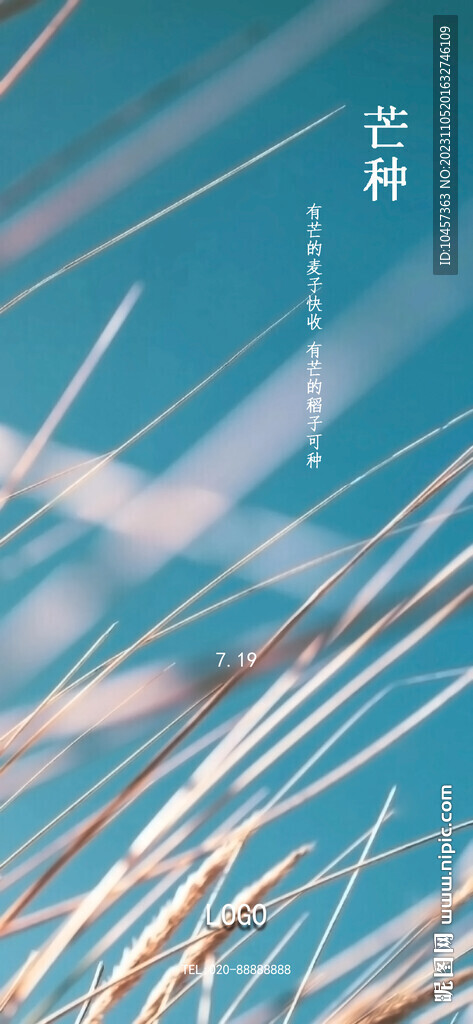 陽光下的野草