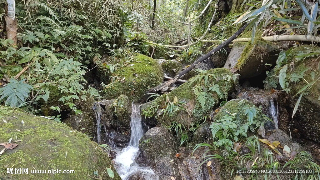 山林里的泉水