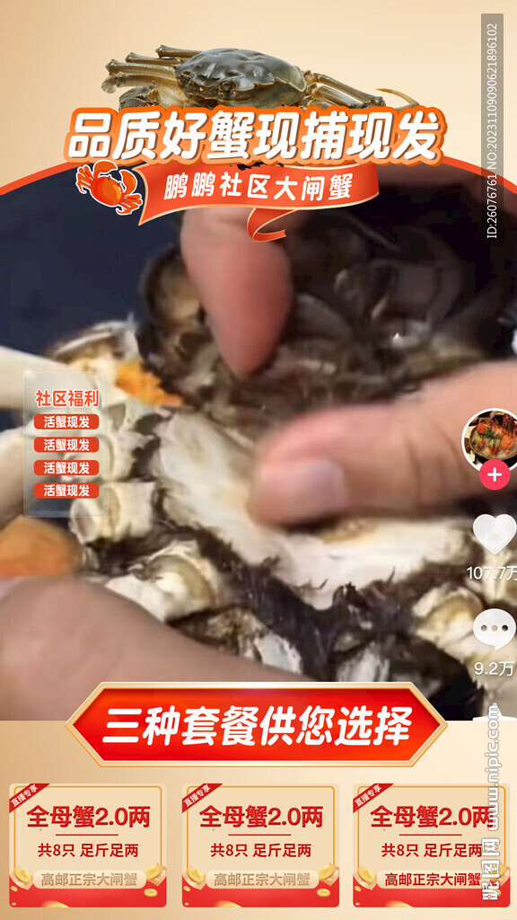 大閘蟹直播背景貼片圖片
