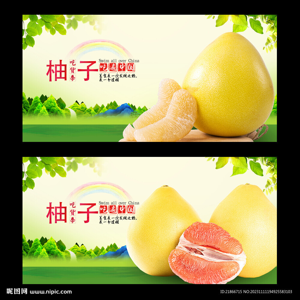 柚子