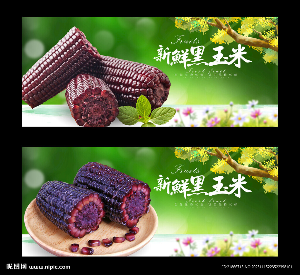 黑玉米