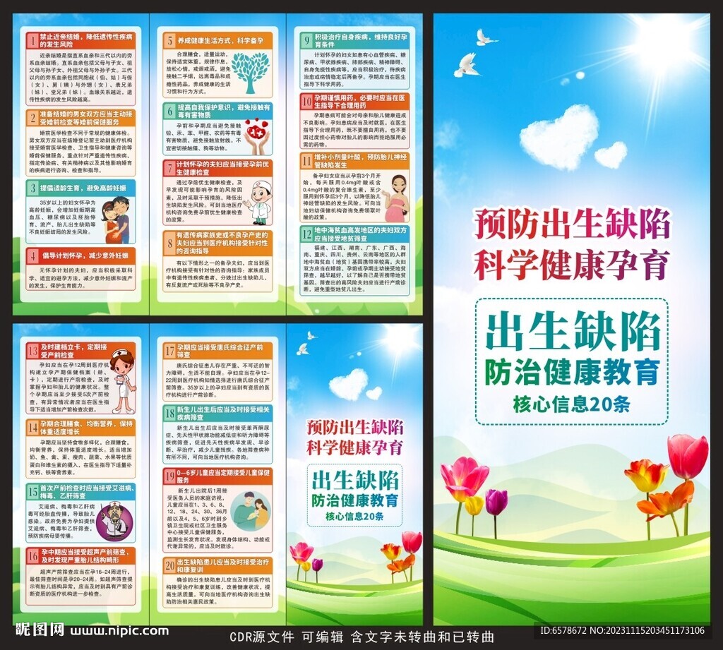 預防出生缺陷三折頁