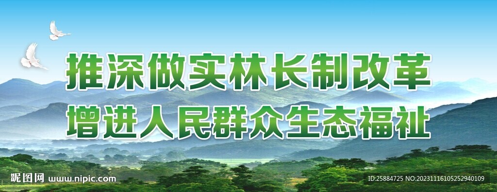 林長制