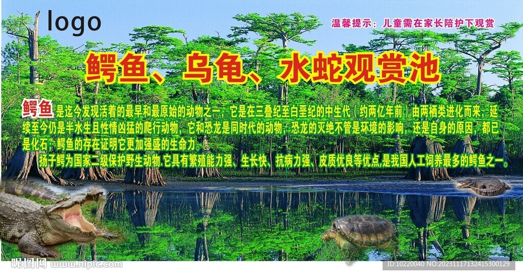  揚子鱷
