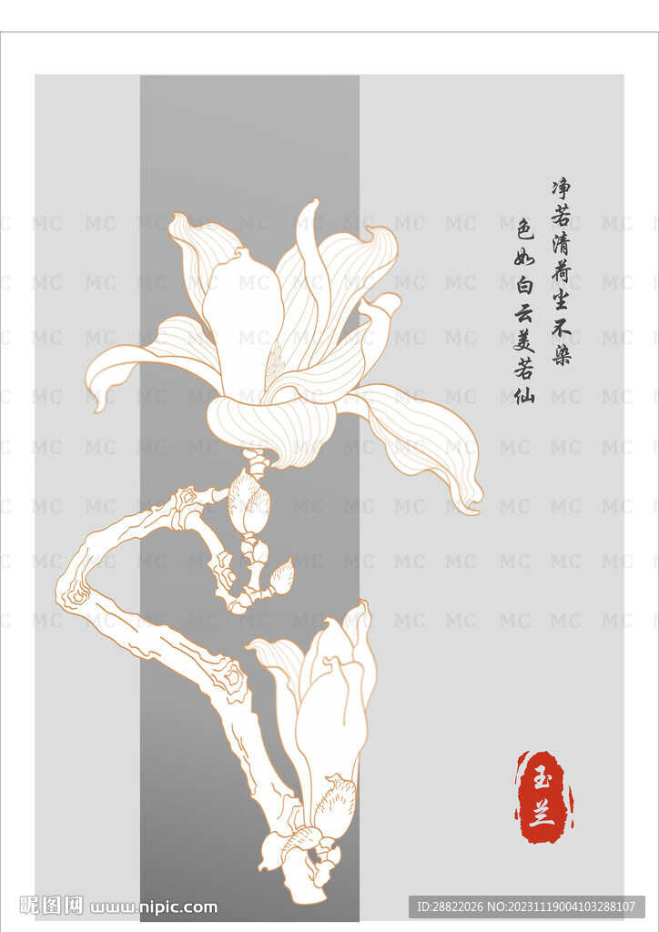 玉蘭花
