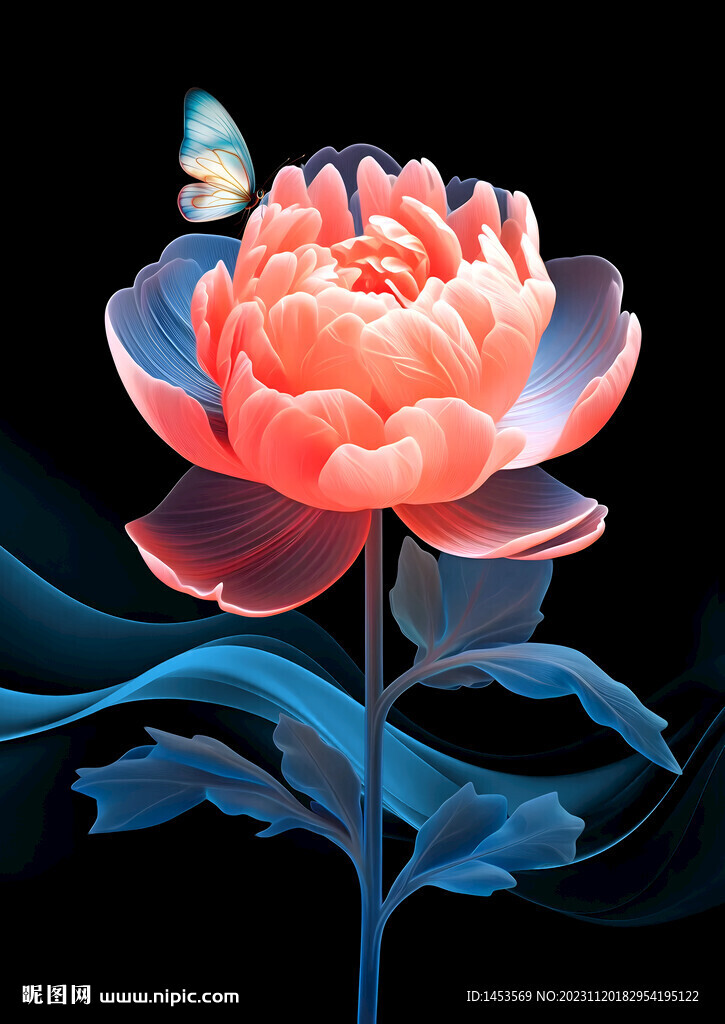 牡丹
