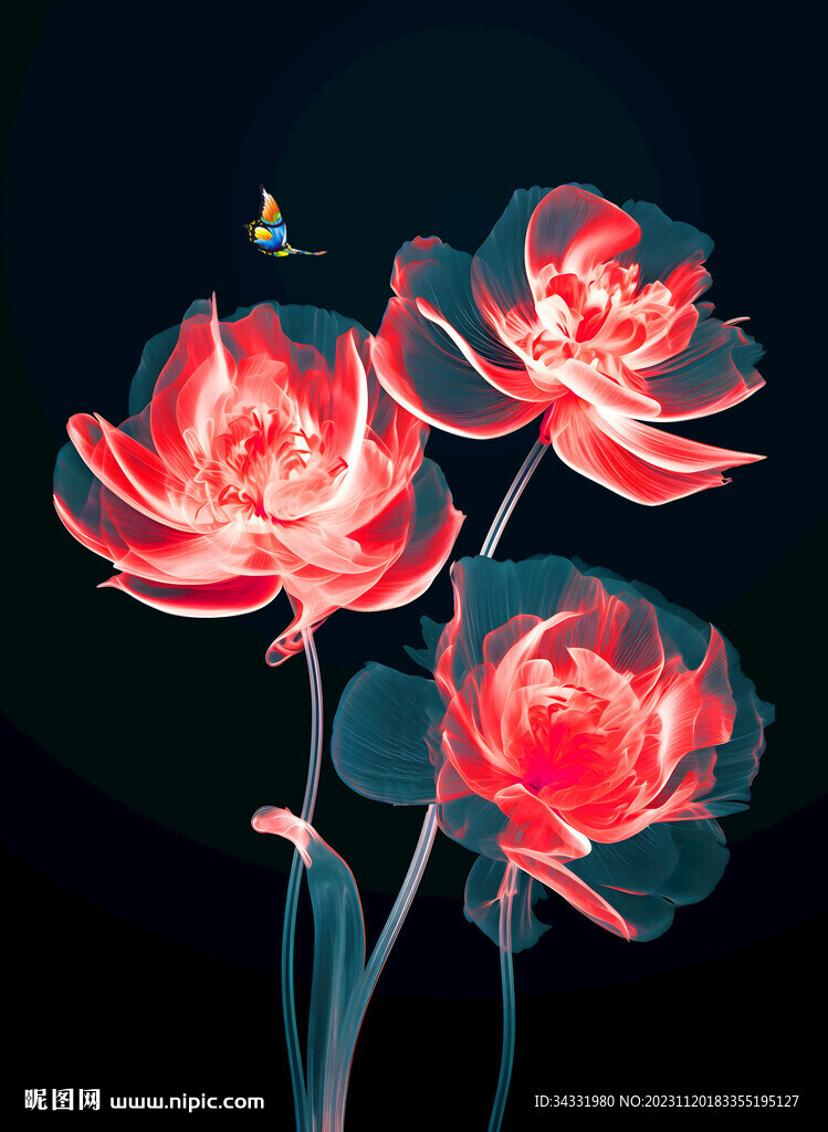 牡丹插畫