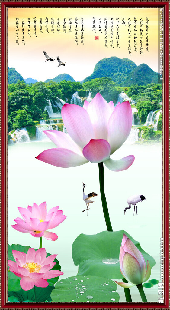 國(guó)畫荷花