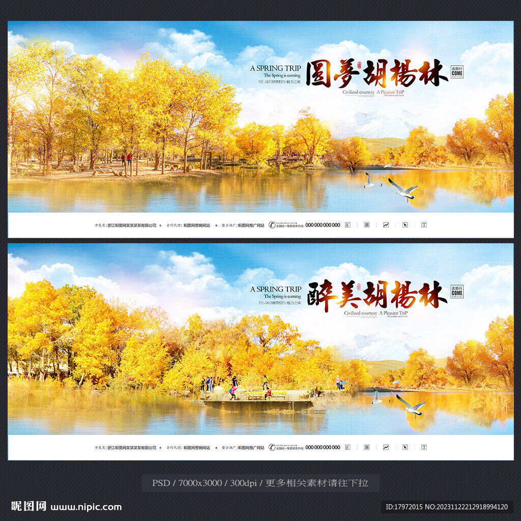 胡楊林