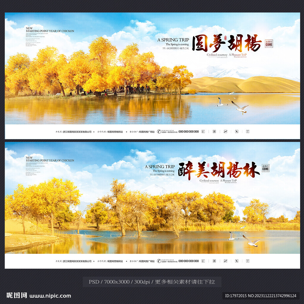胡楊林