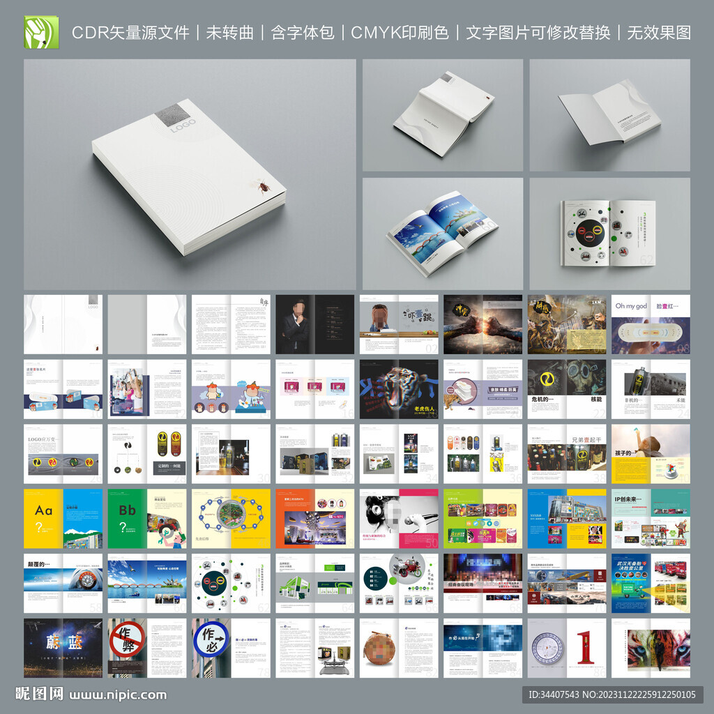 廣告策劃公司項(xiàng)目介紹產(chǎn)品畫(huà)冊(cè)