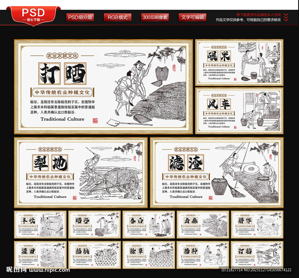 稻谷