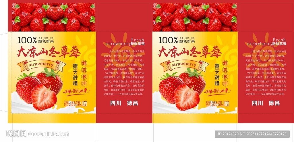 大涼山冬草莓紙箱平面圖