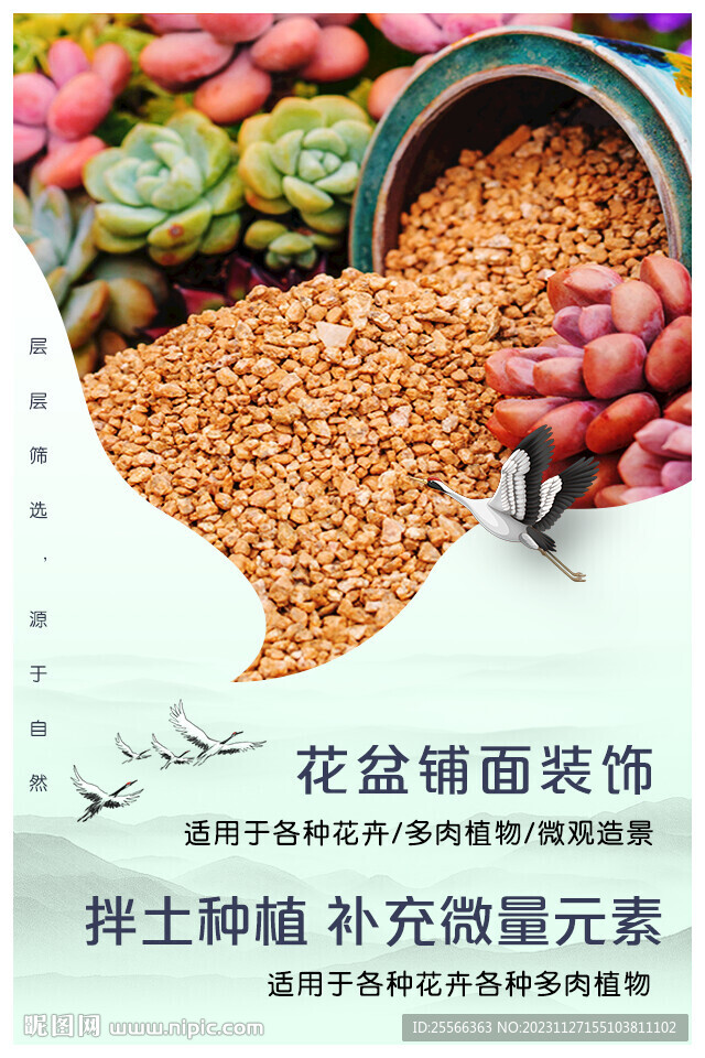 綠色 綠植 盆栽