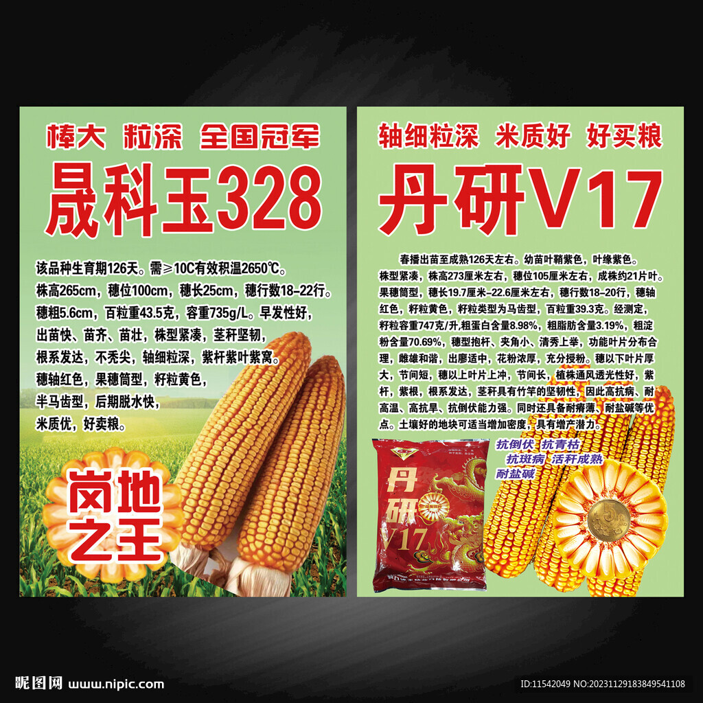玉米種海報
