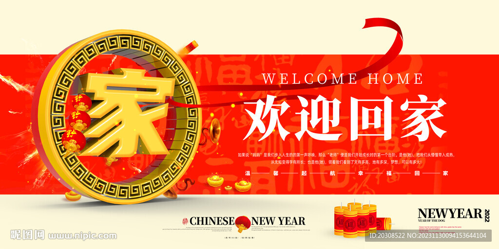 歡迎回家海報