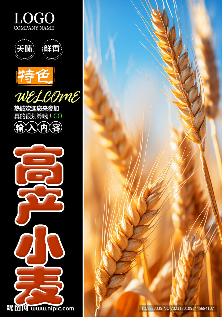 高產小麥