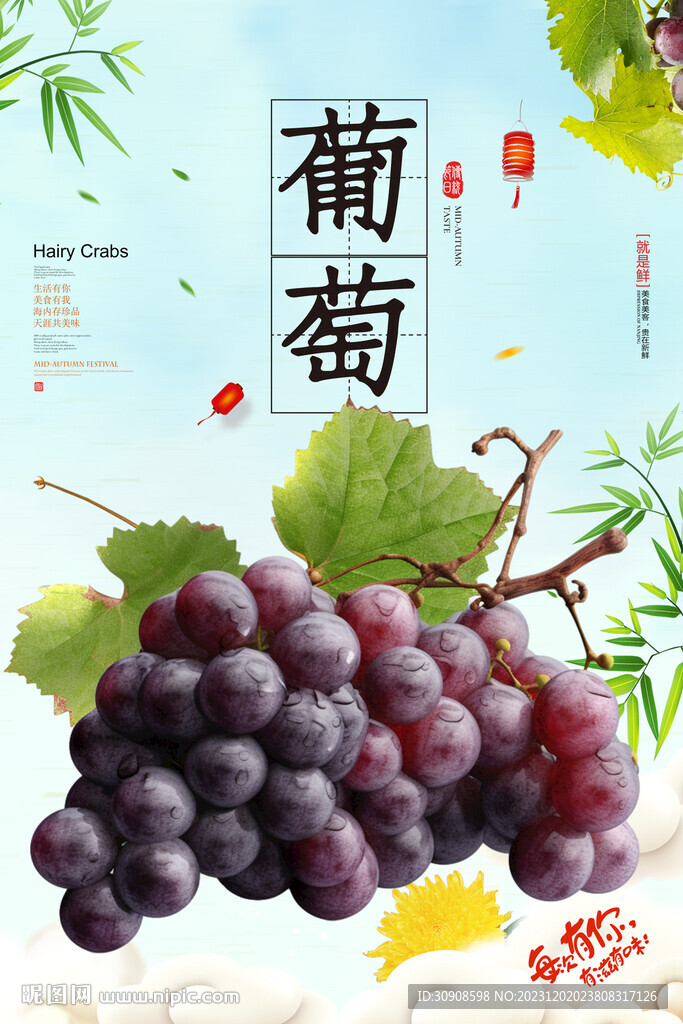 葡萄