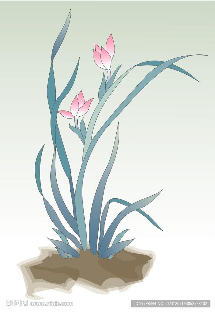 蘭草矢量圖