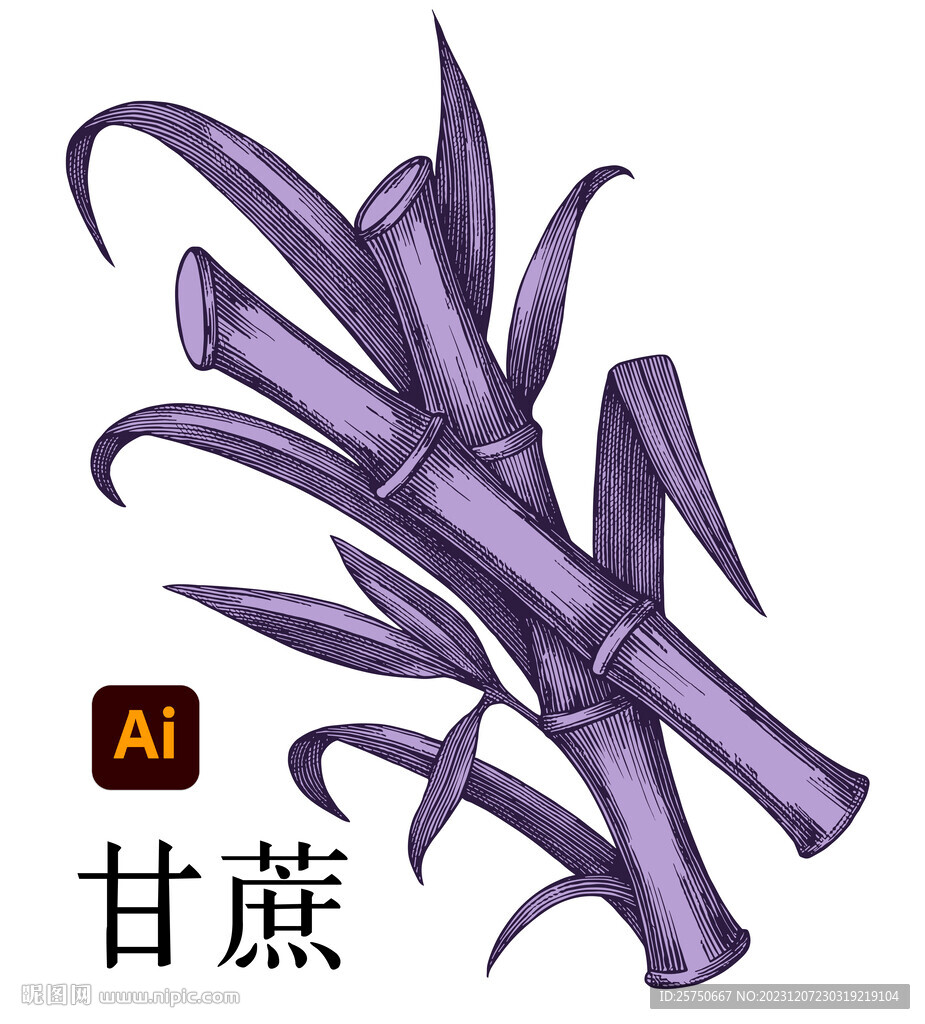 甘蔗插畫