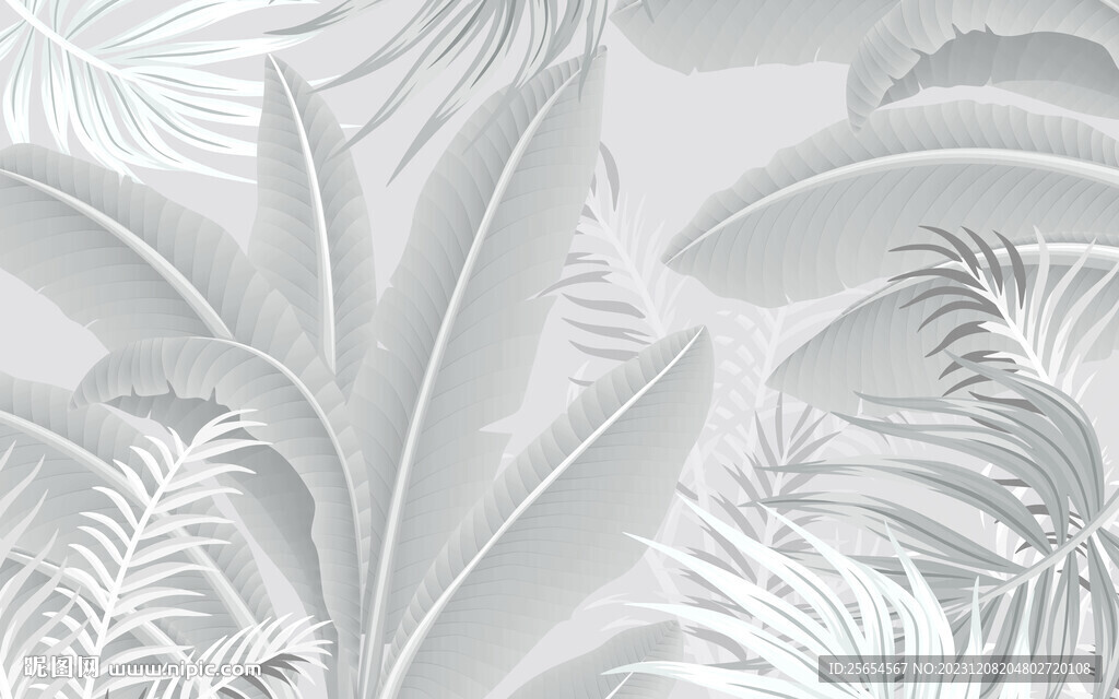 熱帶樹葉棕櫚葉背景墻