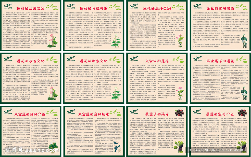 蓮花及桑葚知識(shí)展板