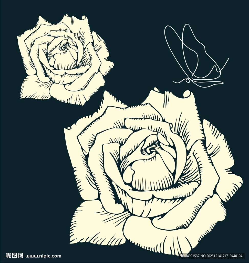 玫瑰花插畫