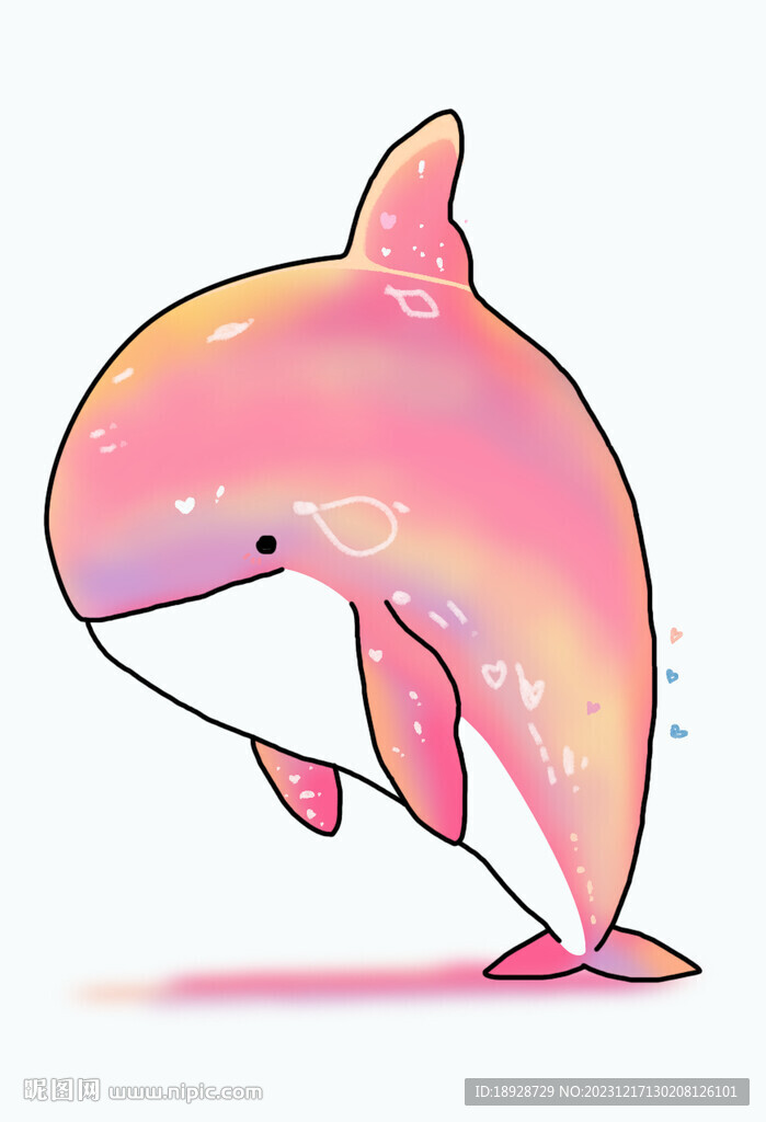 海豚