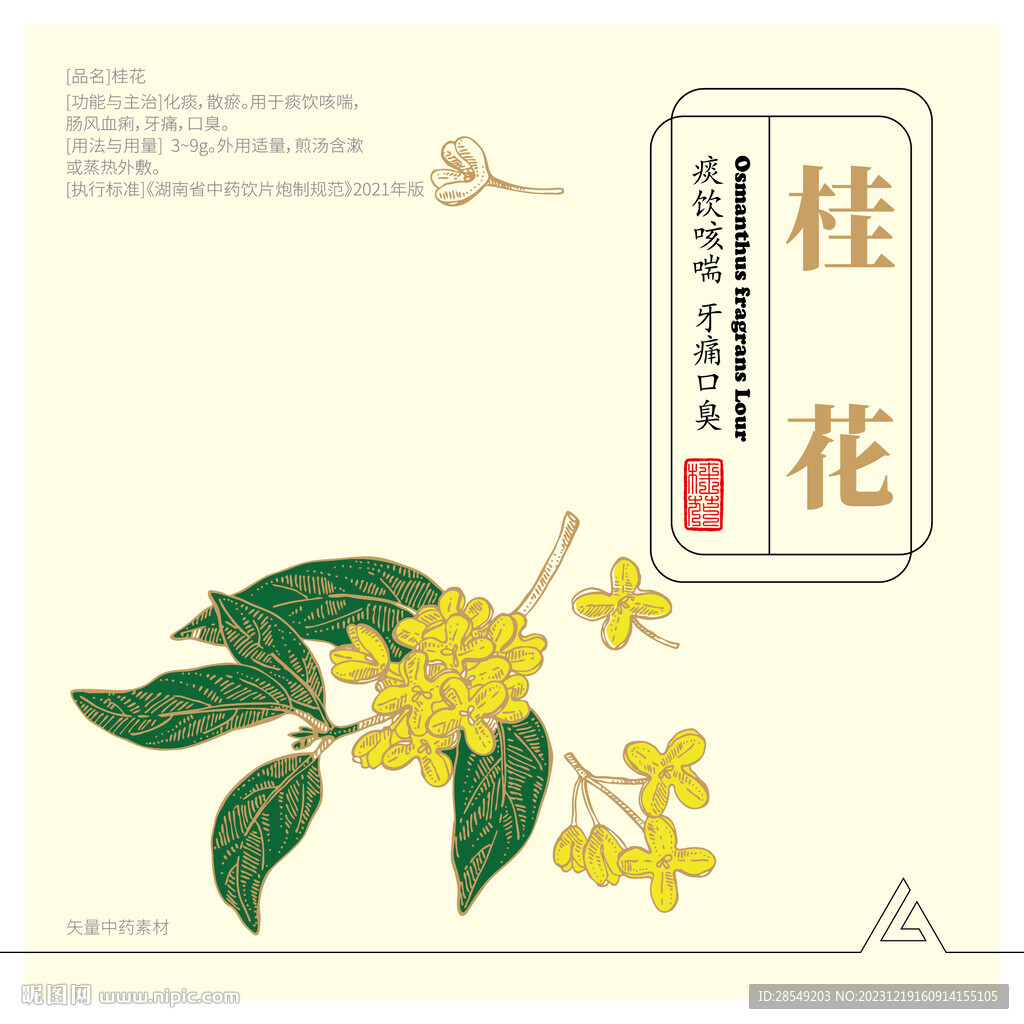 桂花