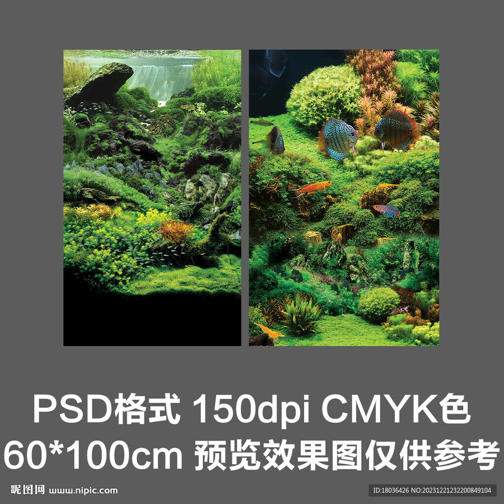 綠色水草水族觀賞魚海報