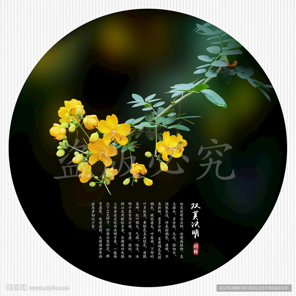 雙莢決明