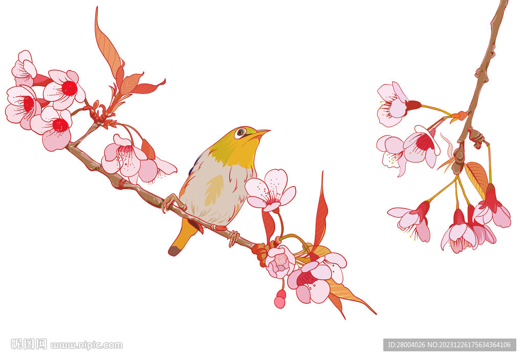 垂丝海棠花鸟插图