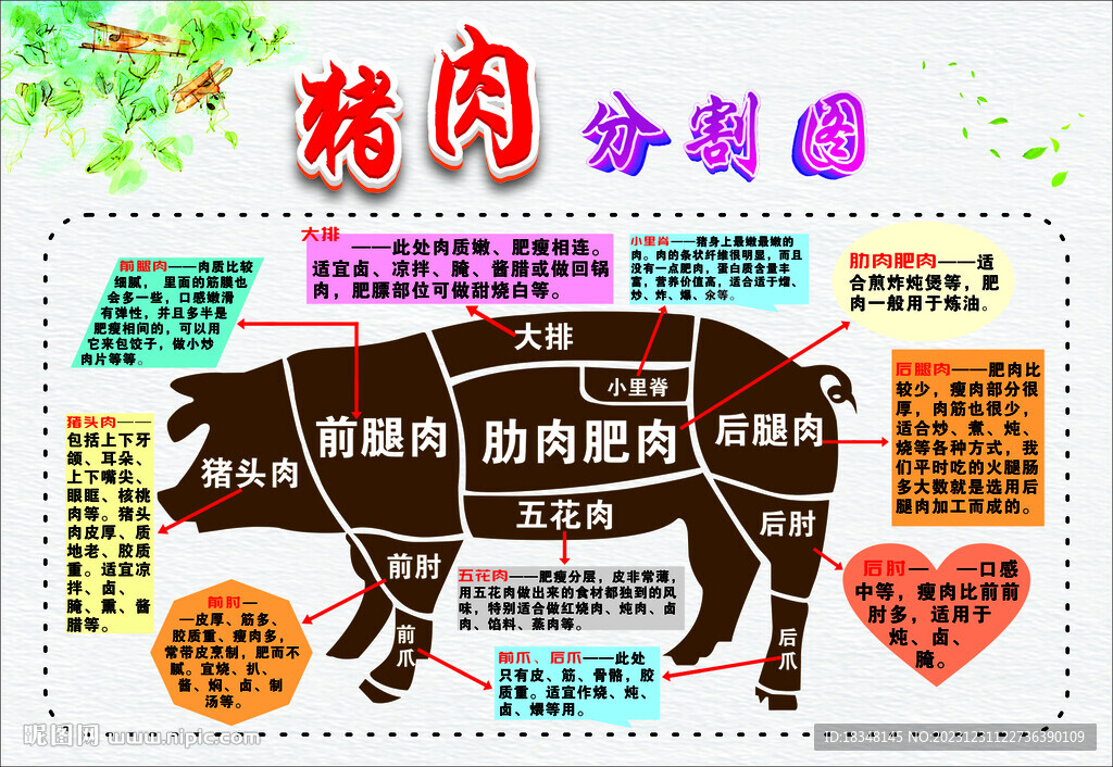 豬肉分割圖