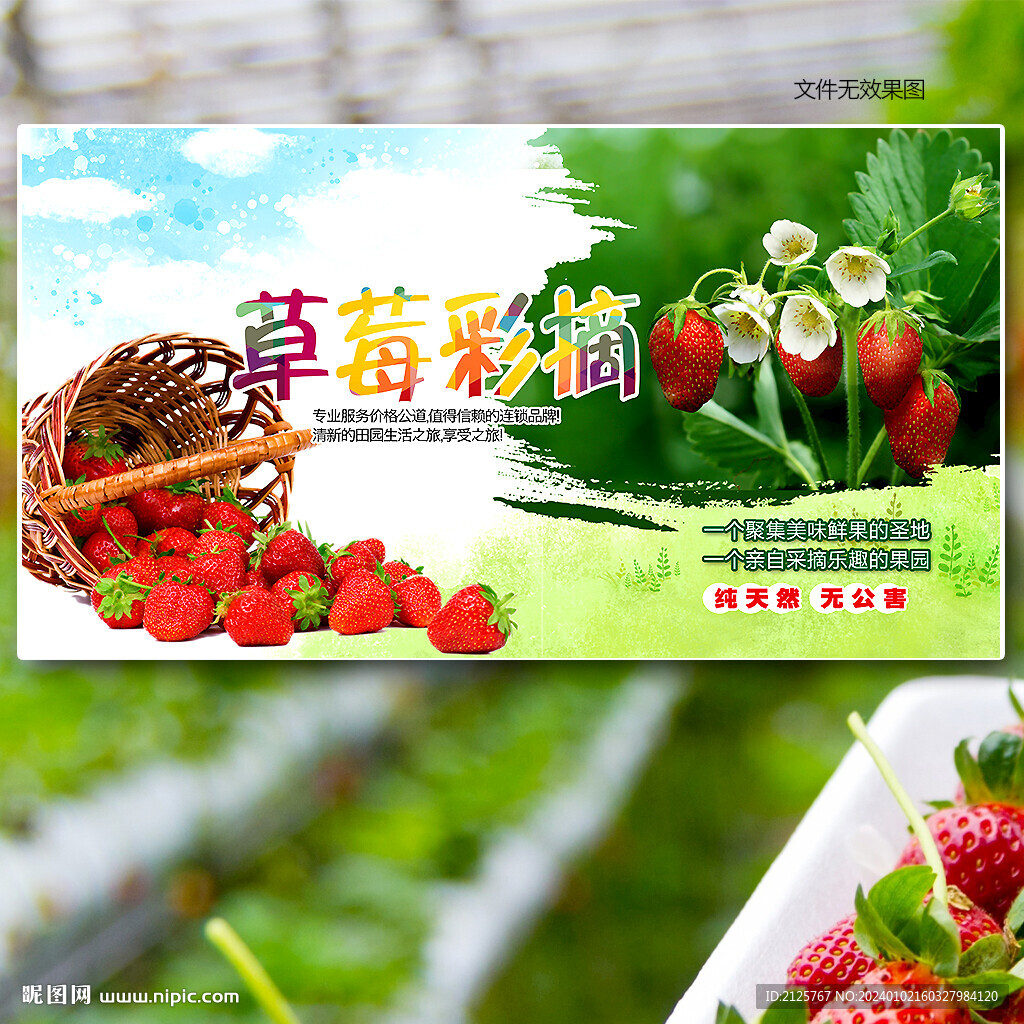 草莓展板