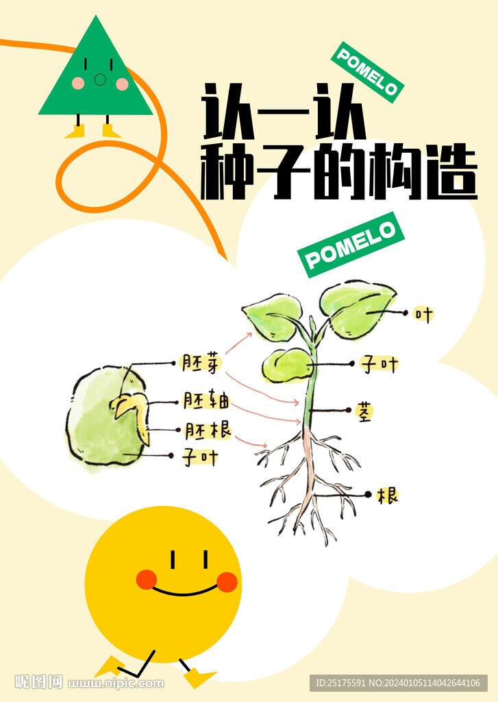 種子科普海報
