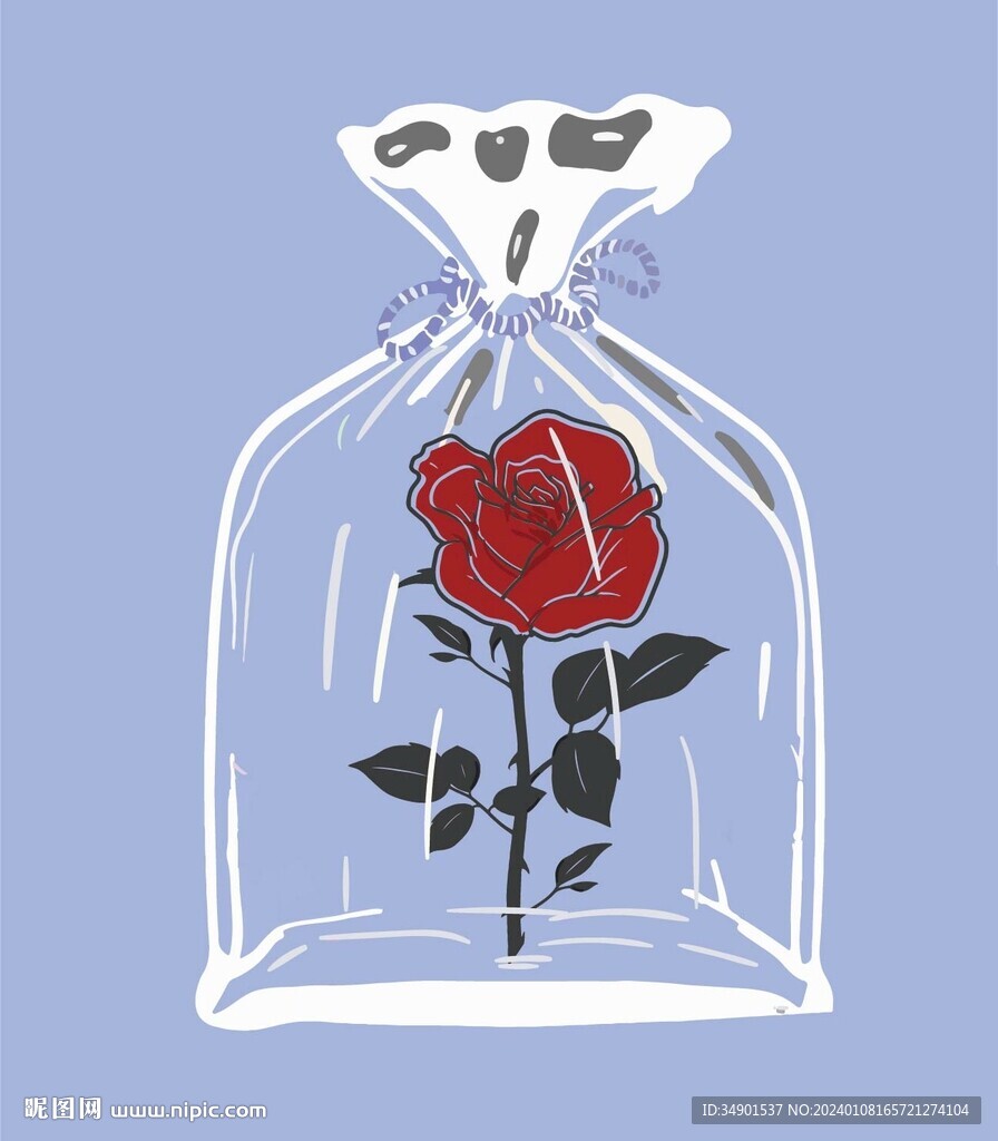 透明袋玫瑰花