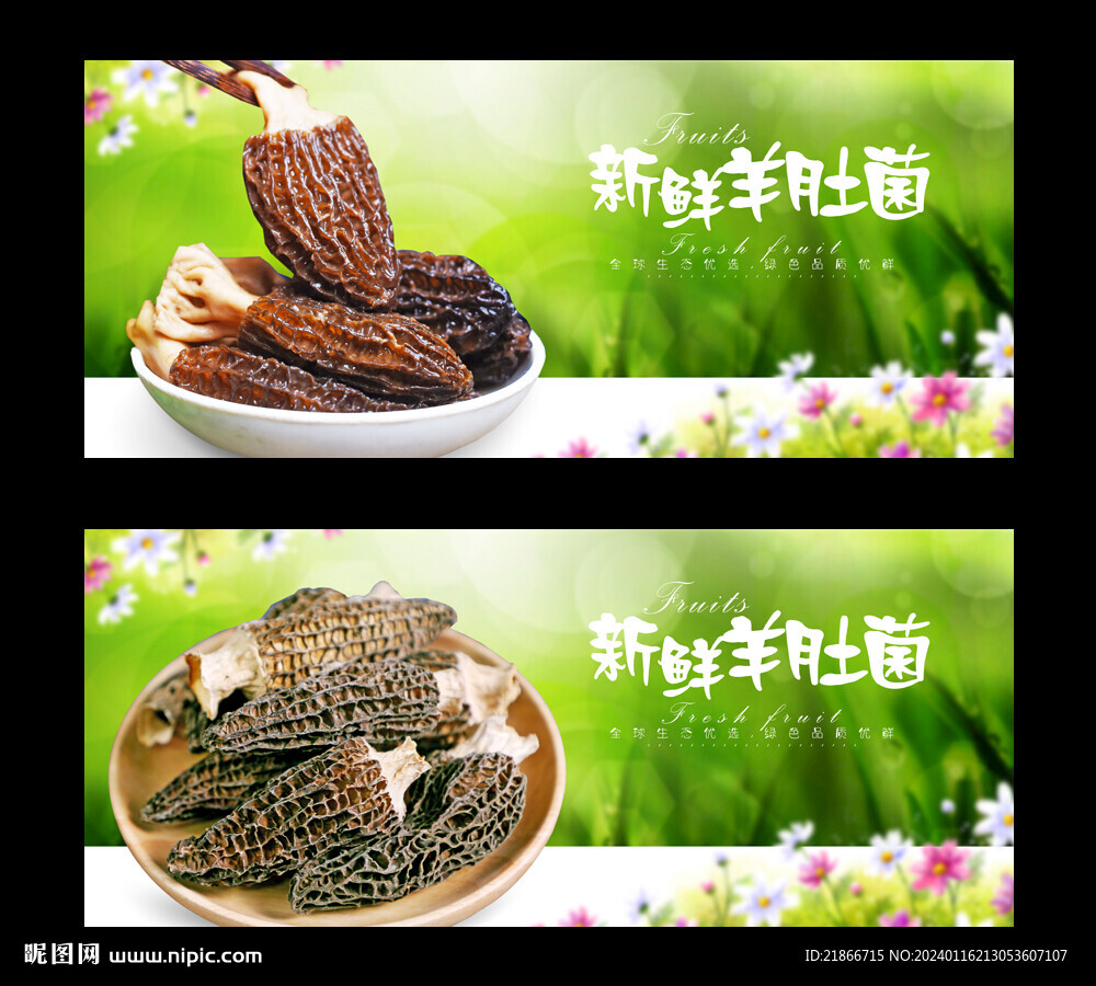 羊肚菌