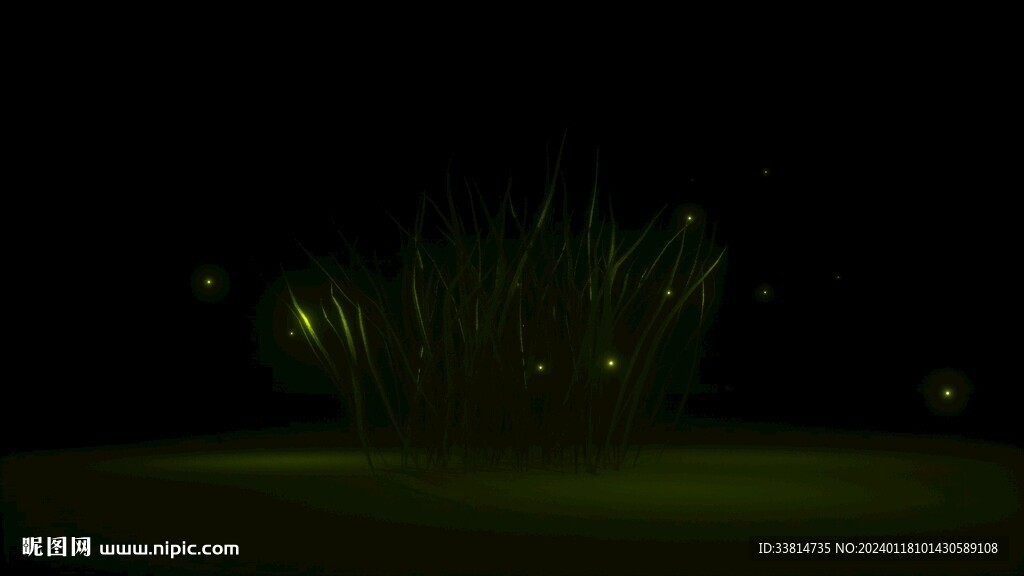 夜晚植物中环绕萤火虫