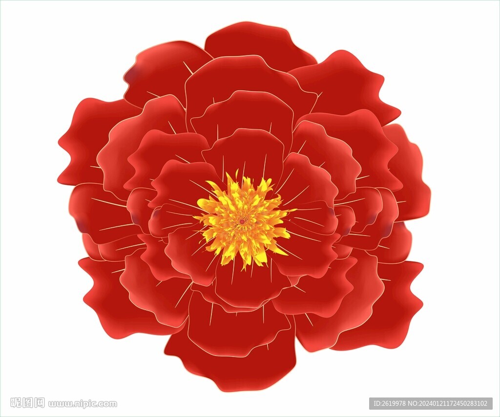牡丹花