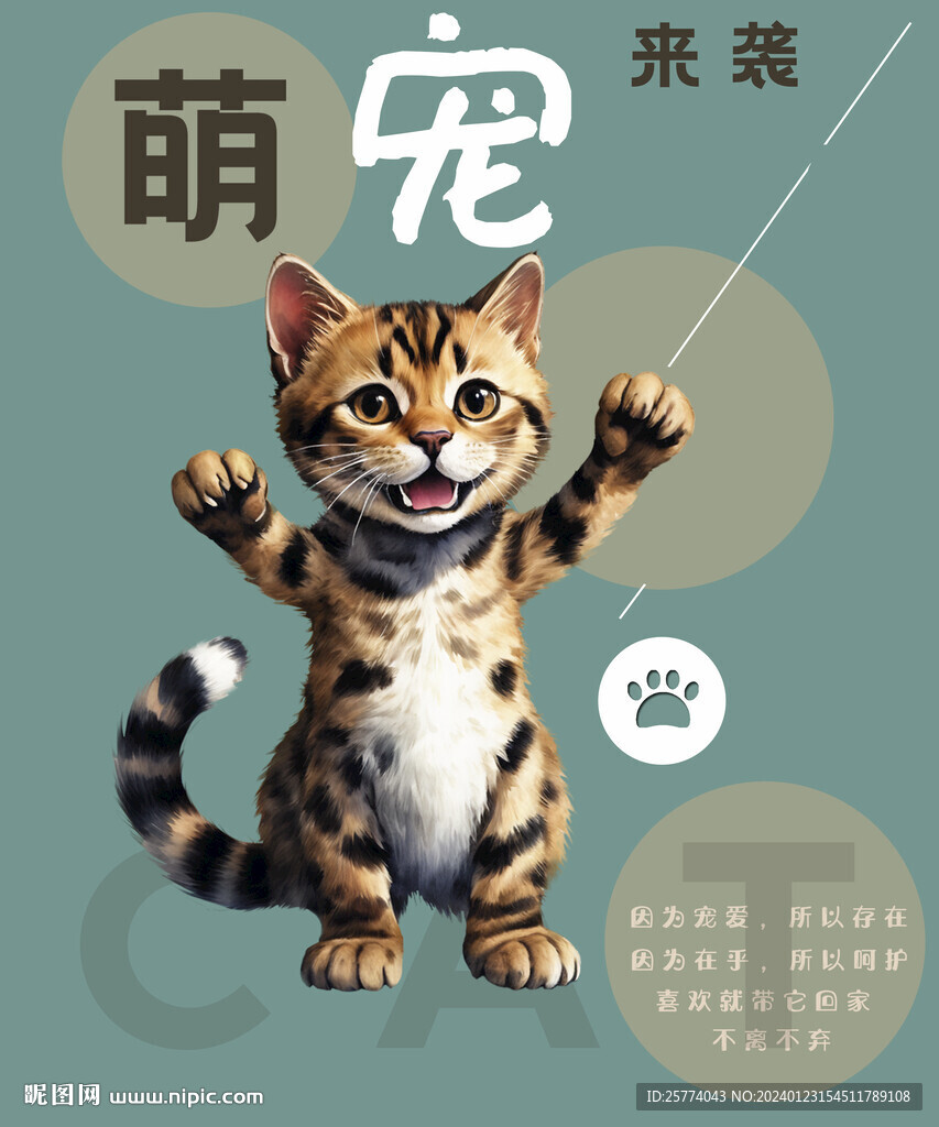 貓海報