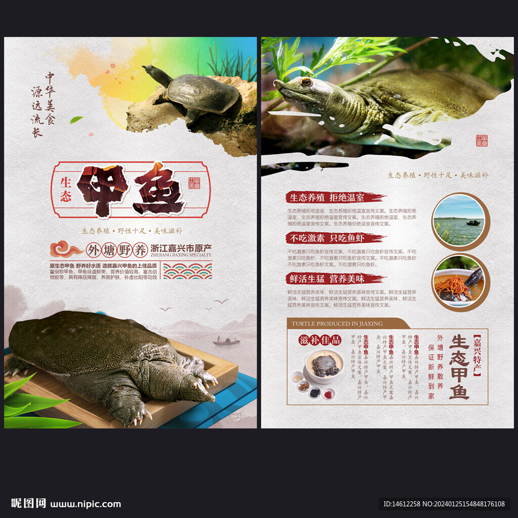 甲魚