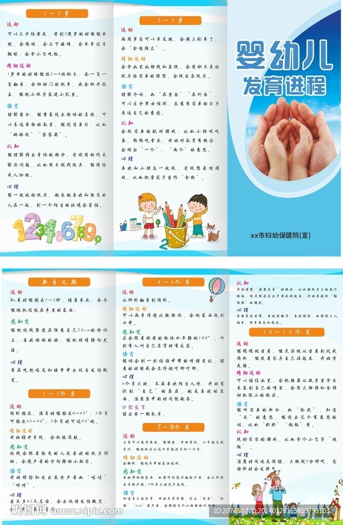 嬰幼兒發(fā)育進程三折頁