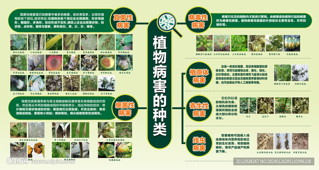 植物病蟲害的種類
