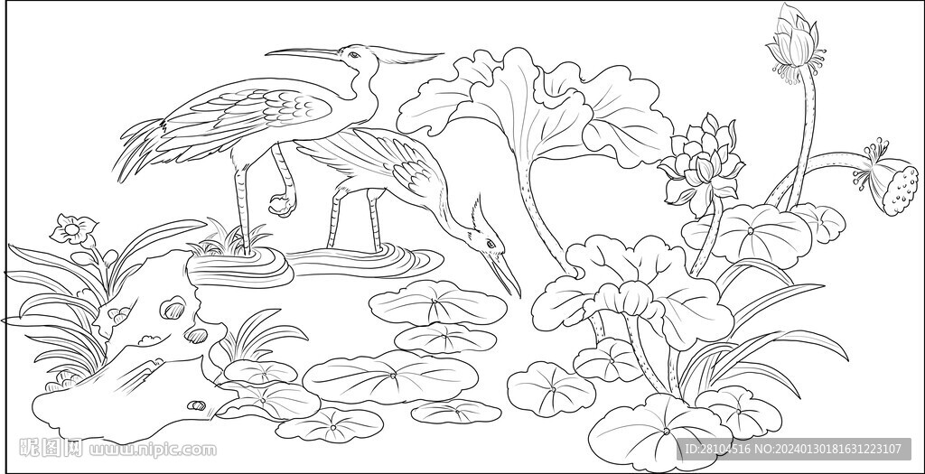 白描荷花 
